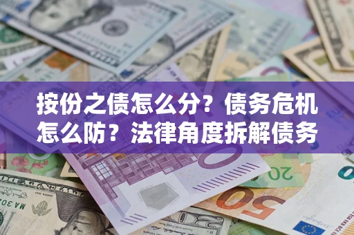 武汉按份之债怎么分？债务危机怎么防？法律角度拆解债务分配与风险自保指南