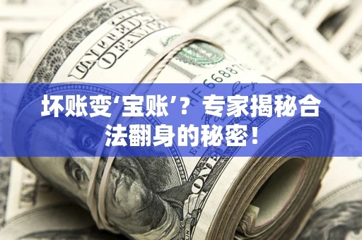 武汉坏账变‘宝账’？专家揭秘合法翻身的秘密！