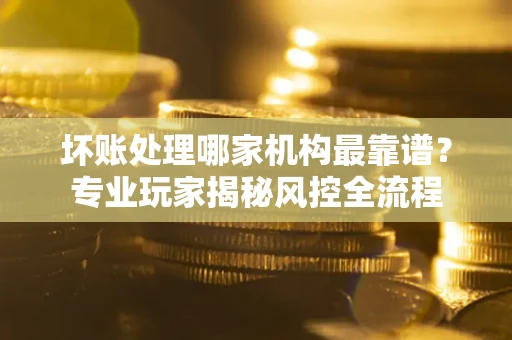 武汉坏账处理哪家机构最靠谱？专业玩家揭秘风控全流程
