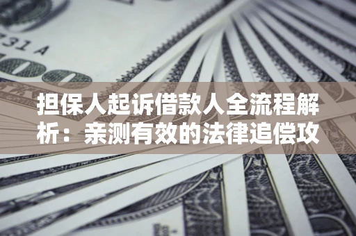 武汉担保人起诉借款人全流程解析：亲测有效的法律追偿攻略