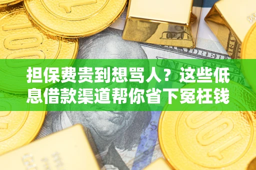 武汉担保费贵到想骂人？这些低息借款渠道帮你省下冤枉钱