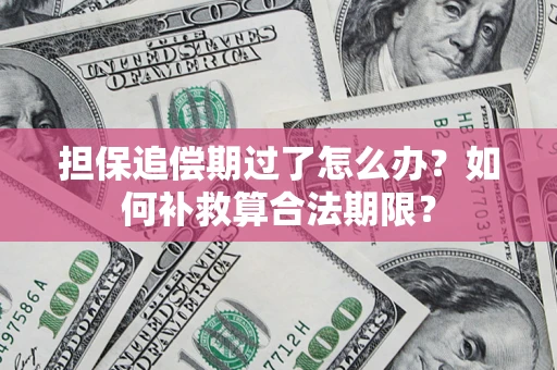 武汉担保追偿期过了怎么办？如何补救算合法期限？