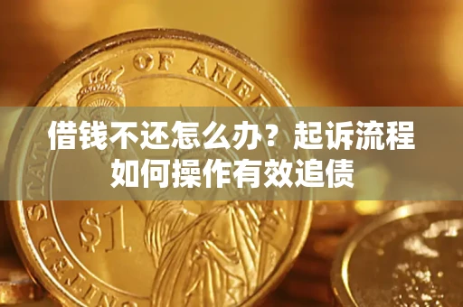 武汉借钱不还怎么办？起诉流程如何操作有效追债