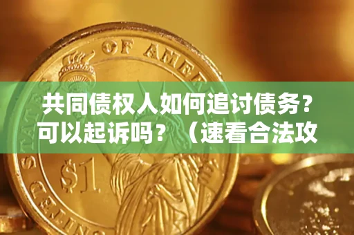武汉共同债权人如何追讨债务？可以起诉吗？（速看合法攻略）