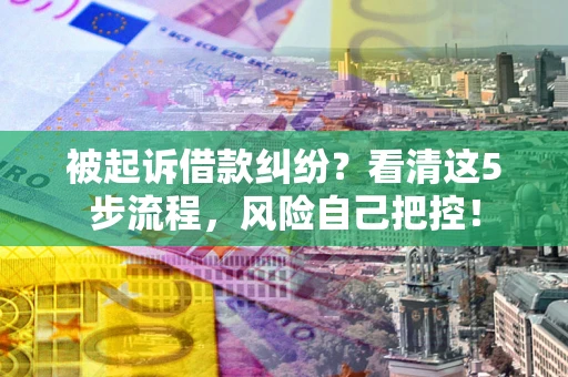 武汉被起诉借款纠纷？看清这5步流程，风险自己把控！