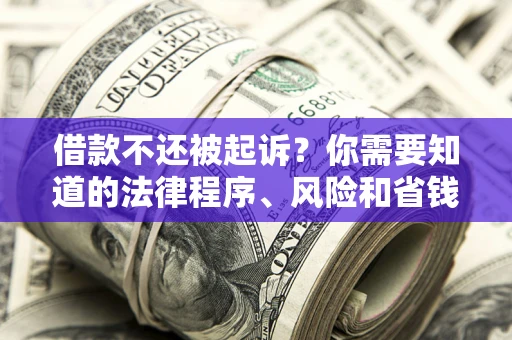 武汉借款不还被起诉？你需要知道的法律程序、风险和省钱技巧