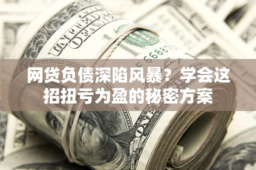 武汉网贷负债深陷风暴？学会这招扭亏为盈的秘密方案
