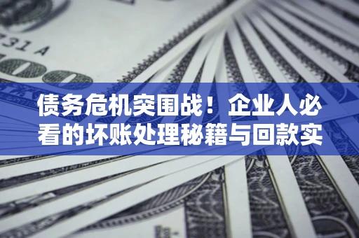 武汉债务危机突围战！企业人必看的坏账处理秘籍与回款实战指南