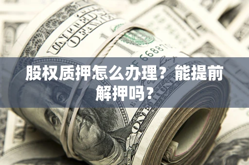 武汉股权质押怎么办理？能提前解押吗？