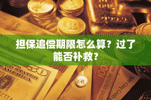 武汉担保追偿期限怎么算？过了能否补救？